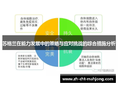 苏格兰在能力发展中的策略与应对挑战的综合措施分析