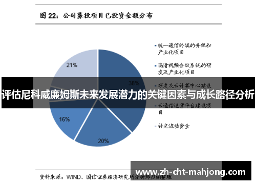 评估尼科威廉姆斯未来发展潜力的关键因素与成长路径分析