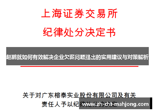 赵鹏就如何有效解决企业欠薪问题提出的实用建议与对策解析